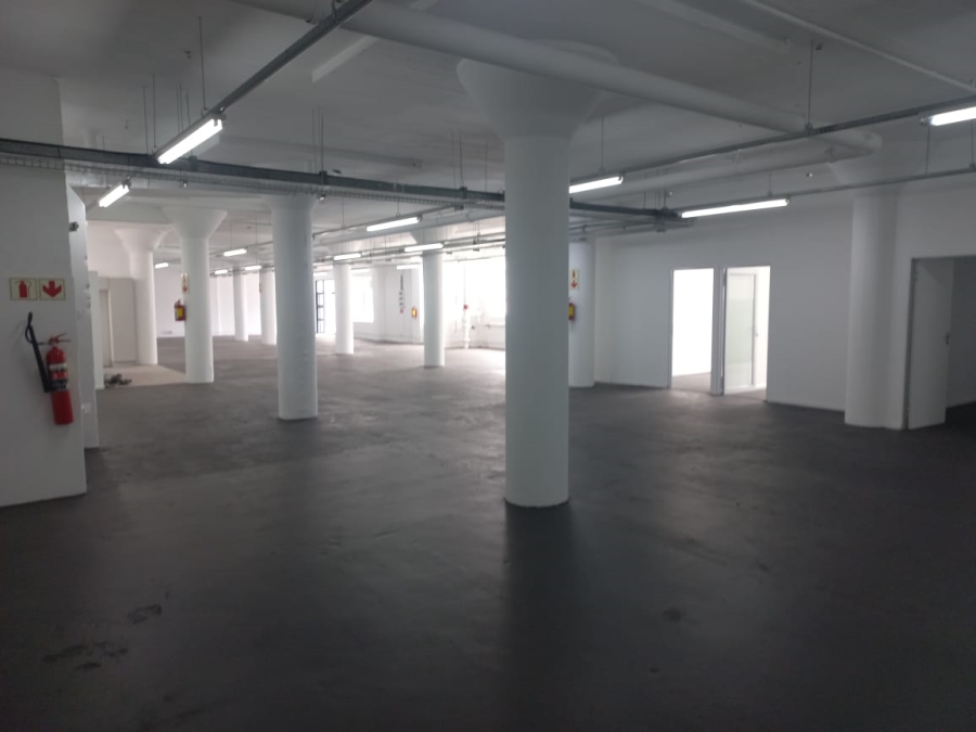 To Let commercial Property for Rent in Paarden Eiland Western Cape
